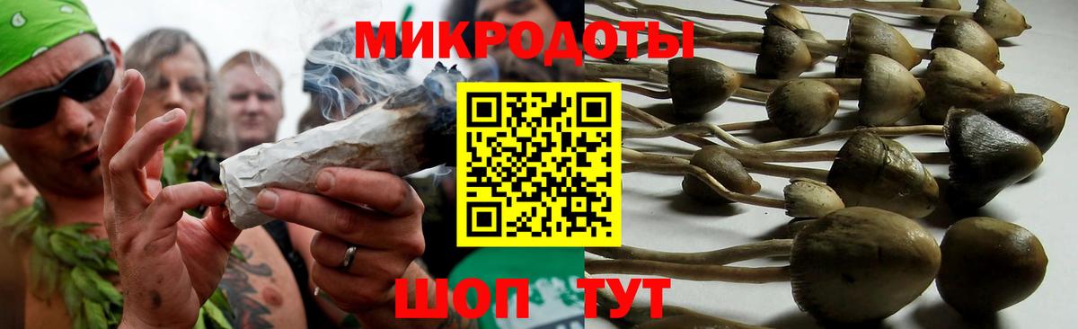Галлюциногенные грибы MAGIC MUSHROOMS Камышин